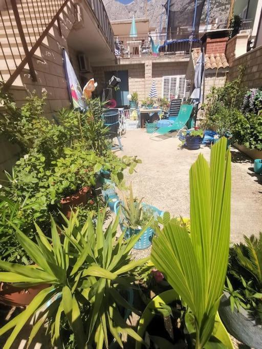 Makarska Blue Oasis Apartman 2-6 ภายนอก รูปภาพ