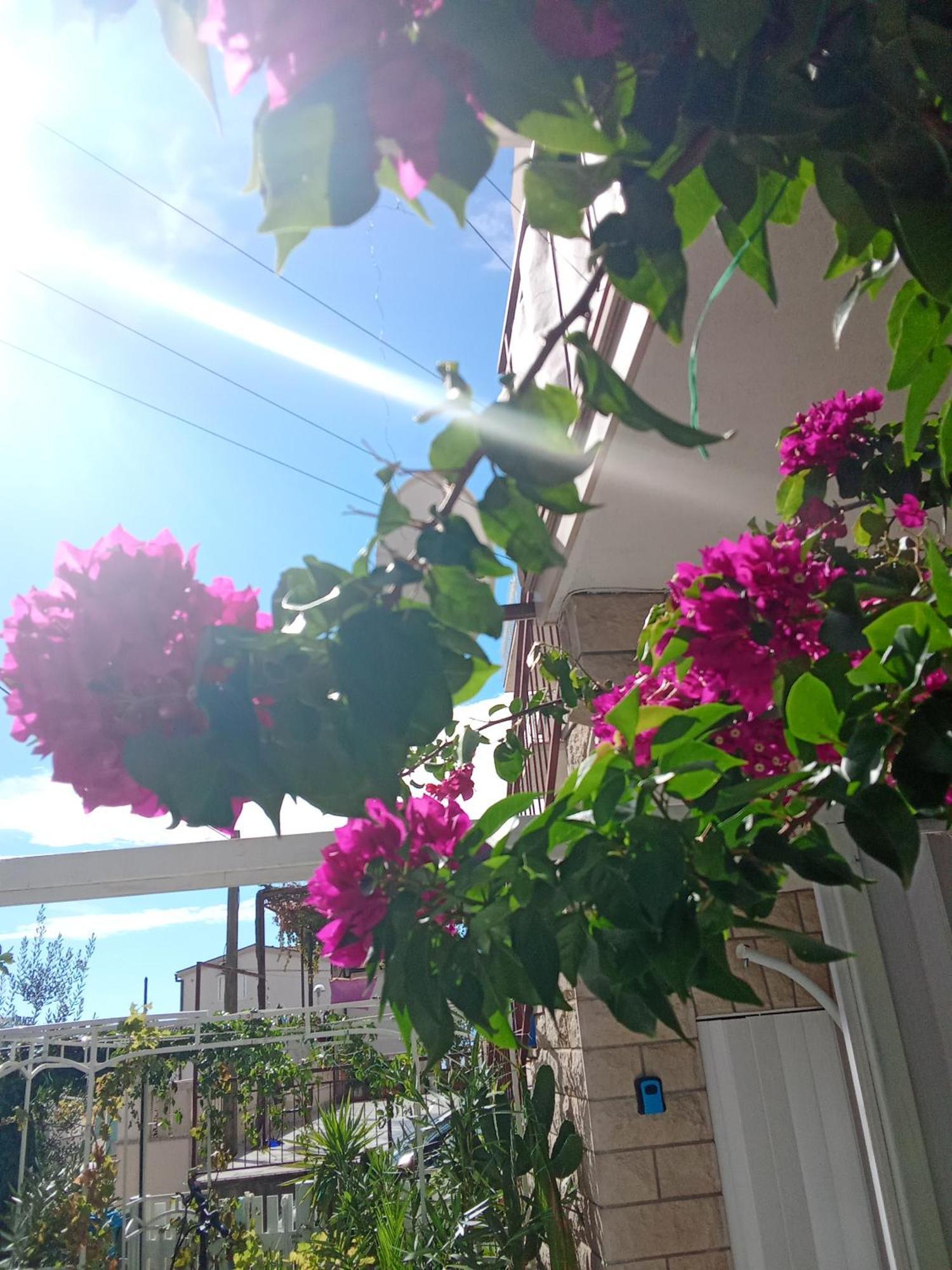 Makarska Blue Oasis Apartman 2-6 ภายนอก รูปภาพ